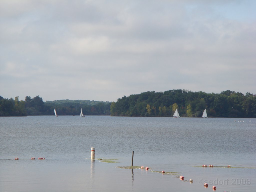 027 Kensington Run [2008 Sept 27].JPG - The Kensington Challenge 15K September 27, 2008. Run in Kensington Metro Park outside of Milford Michigan. Cool and overcast day, great for a run around the lake.